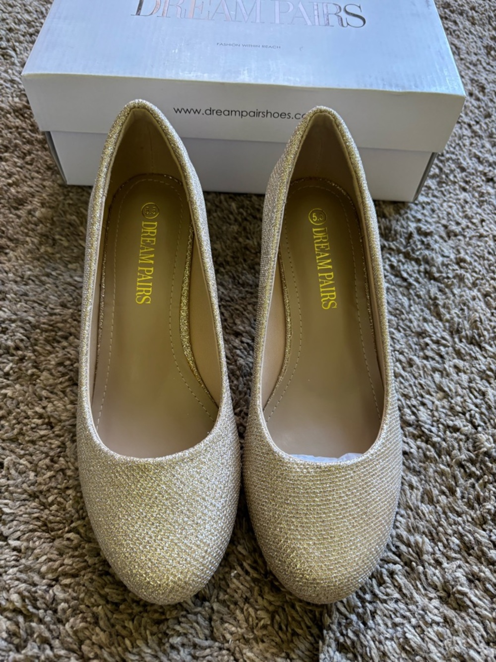 DREAM PAIRS Women's Dress Comfortable Low Heel Pump Shoes